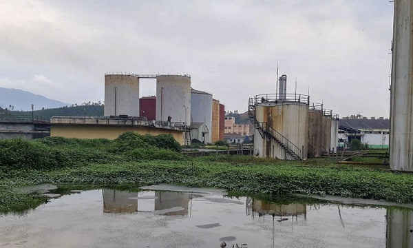 Quảng Nam: Đã khắc phục sự cố tràn dầu fusel ở nhà máy cồn Ethanol Đại Tân